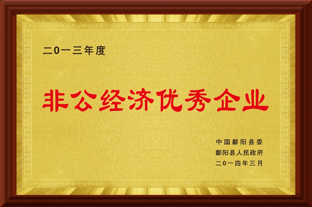 2013年度非公经济优秀企业