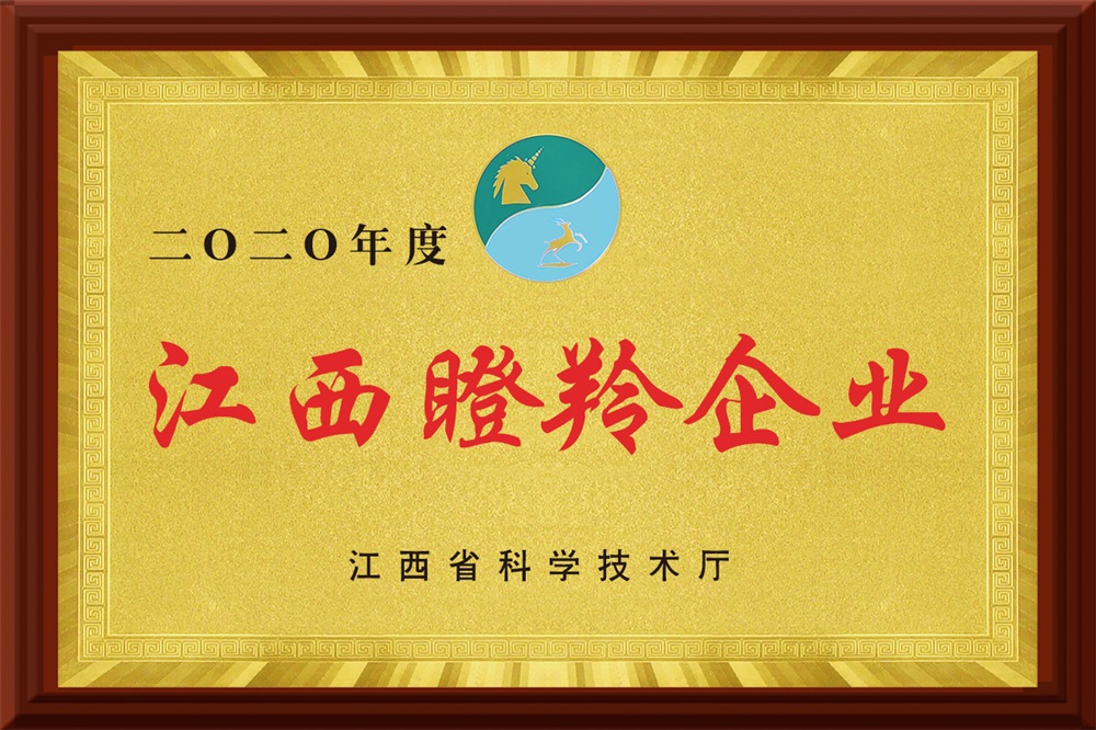 2020年度江西瞪羚企业