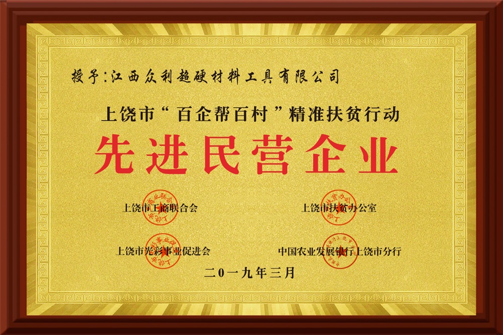 2019年先进民营企业